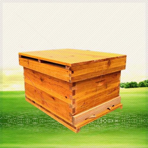 蜂箱全套中蜂标准十框煮腊土蜂诱蜂箱新手养蜜蜂的双王蜂箱工具