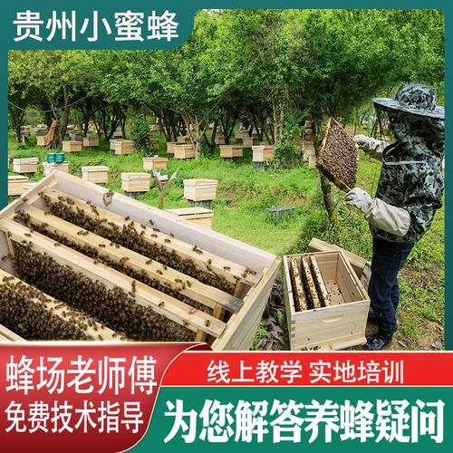 商品图片贵州小蜜蜂养殖位于贵州省遵义市,一起提供28个产品的销售